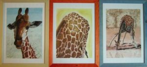 Voir le détail de cette oeuvre: La girafe en tryptique